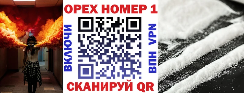 Cocaine FishScale  Купить закладки  Андреаполь 