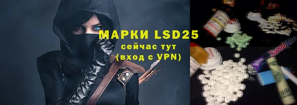 дмт Лабытнанги