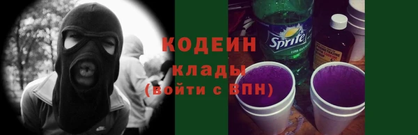 дмт Лабытнанги