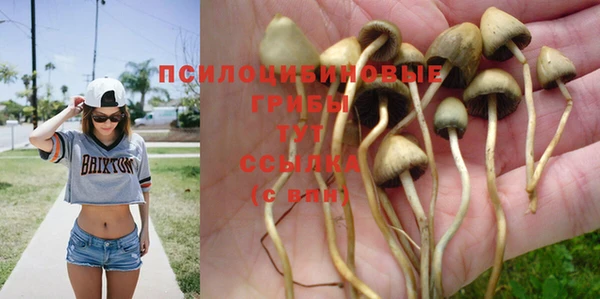 кристаллы Липки